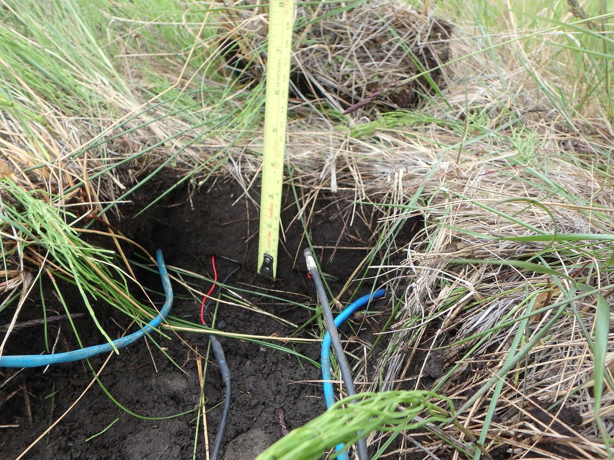 Agri Sensors in the field
