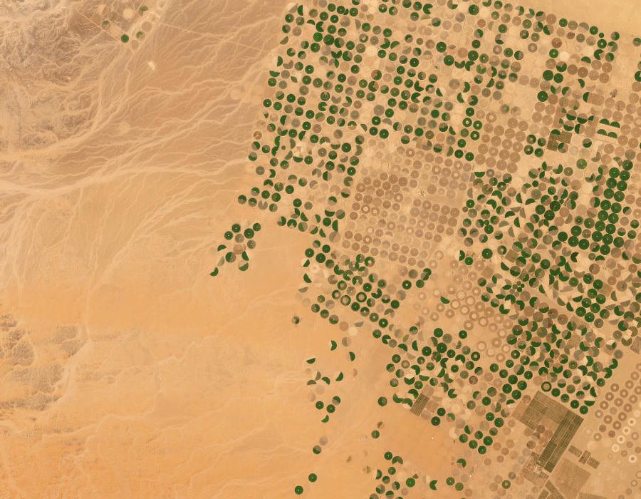 Satellite view of surveyed farm parcels